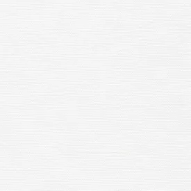 Robert Kaufman Big Sur Canvas - White
